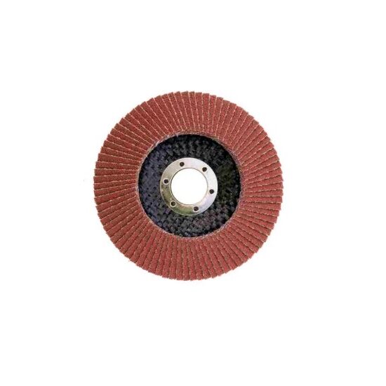 SM FLAP DISC 115MM 9190115036